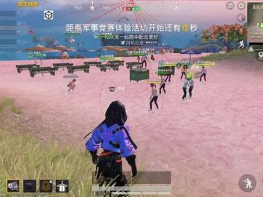 和平精英蔷薇透视