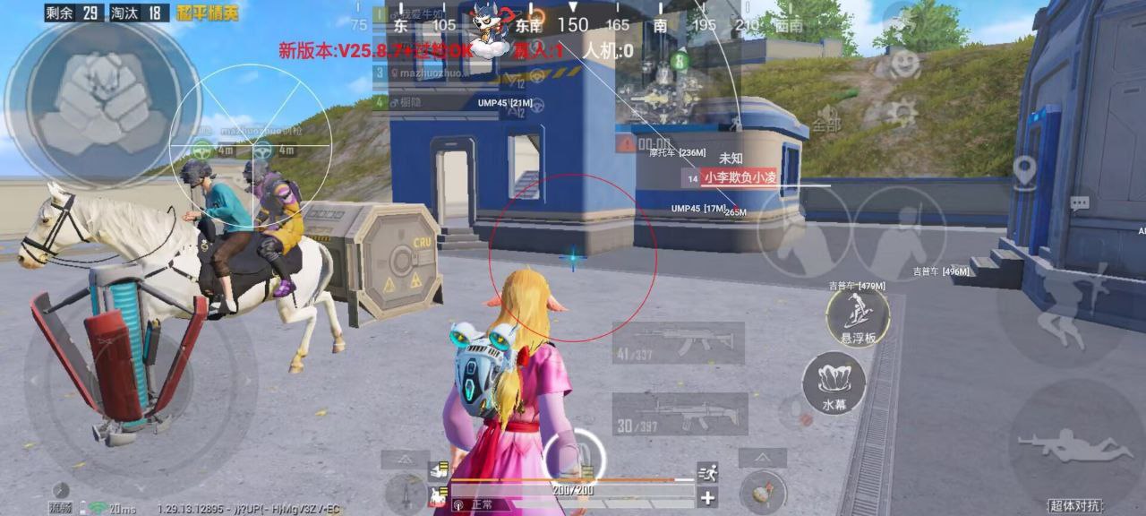 和平精英租外挂