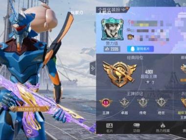 和平精英可可透视